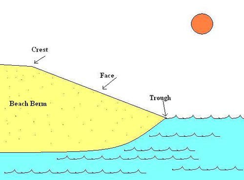 Drawing of a beach shoreline