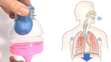 Model lung from bottle and balloon and diagram of human breathing system