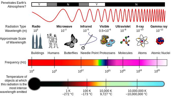 Graph of the electromagnetic spectrum shows wavelengths, images of scaled objects, frequency and temperature