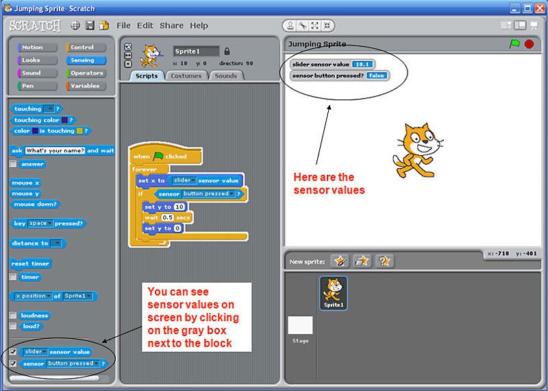 Screenshot of a sprite in the program Scratch
