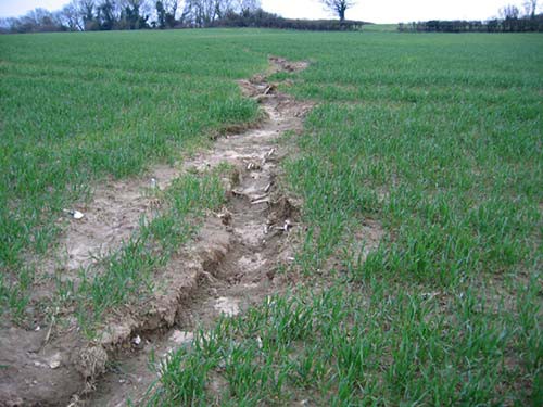 Soil erodes in a grassy field creating a long brown crevice on the surface