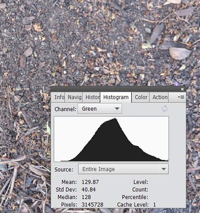 Color histogram for the green channel of a picture of dirt.
