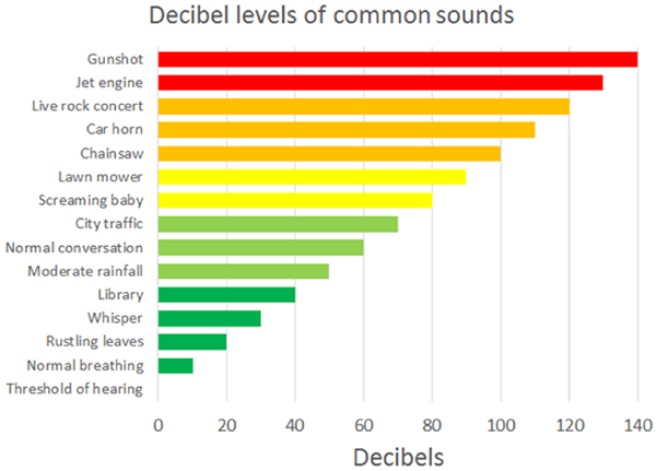 Bar graph displays the decibel levels of common sounds