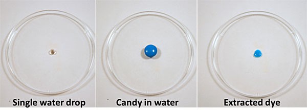 A piece of candy is placed over a drop of water in a dish and leaves behind a dyed solution