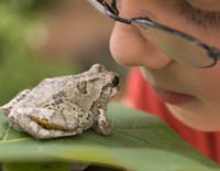 2012-boywfrogx200.jpg