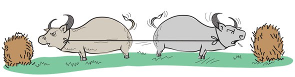 Drawing of two standing buffalo connected by a rope and pulling in opposite directions