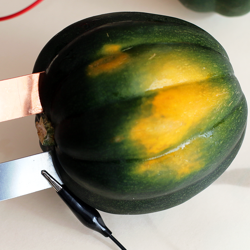 Squash Power Experiment for Thanksgiving