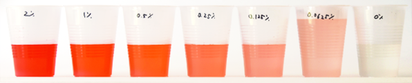 Series of cups with varying shade of red-to-pink liquid representing a glucose dilution series