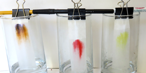 Splitting Ink: Marker Chromatography / family science activity spotlight