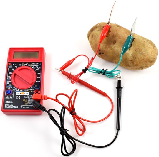 Two alligator clips connect the leads of a multimeter to a zinc and copper electrode in a potato
