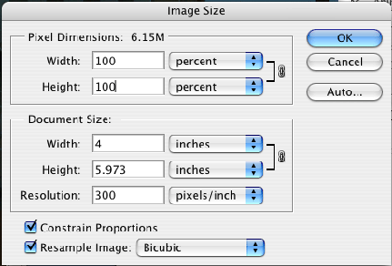 Screenshot of the image size window in the program Photoshop