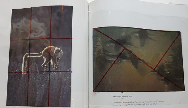 Two pictures from a book with grids drawn on top