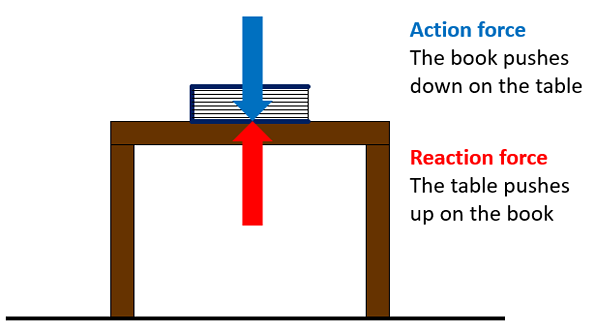 Drawing of a book on a table with an action and reaction force