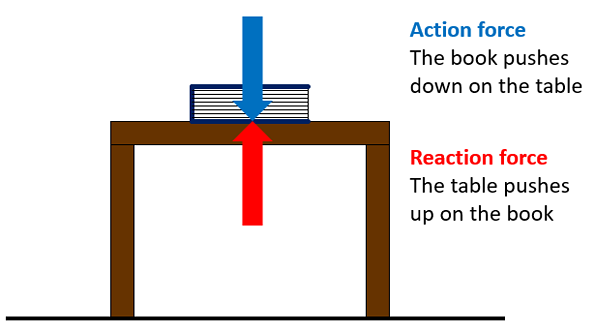 Engineering Car Crash Safety with Newton's Third Law