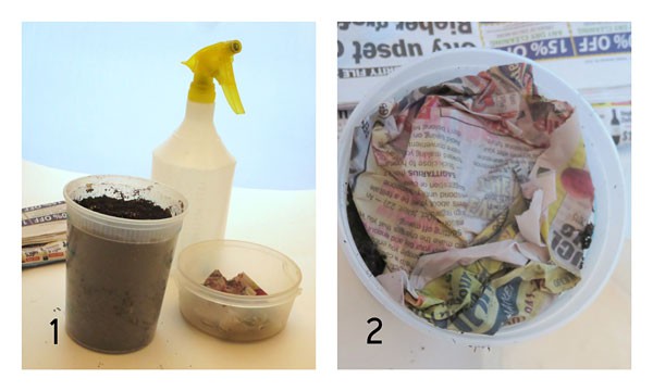 Crumbled wet newspaper is placed on top of soil in a plastic cup