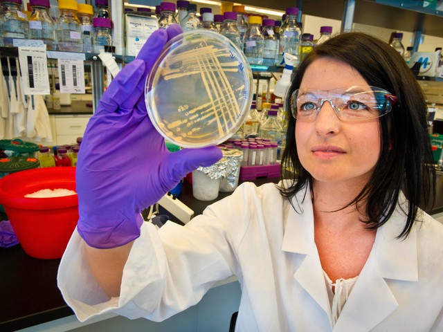 biologist with petri dish