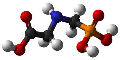 Colored molecular model of a glyphosate molecule