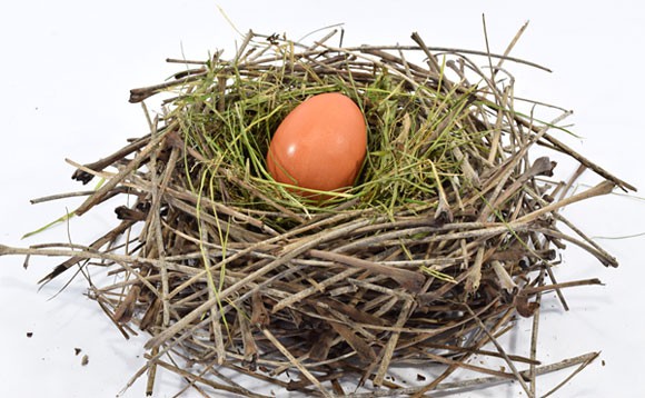 A small egg in the center of a birds nest made of twigs