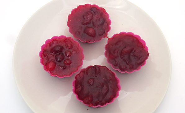 Molded cranberry sauce on a plate