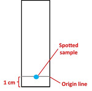 Are Black Markers Really Black? A Chromatography Lesson. - TinkerLab