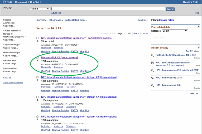 Screenshot of the results after searching for the Niemann-Pick C1 protein on the website ncbi.nlm.nih.gov