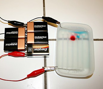 A chamber for Gel electrophoresis