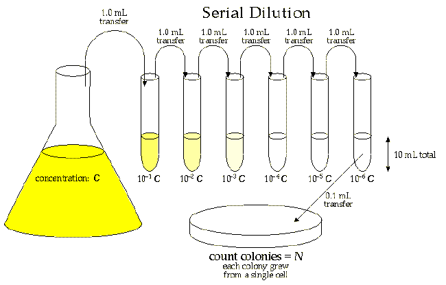 Diagram of a 10-fold serial dilution where a sample is diluted by 90% 6 times before testing