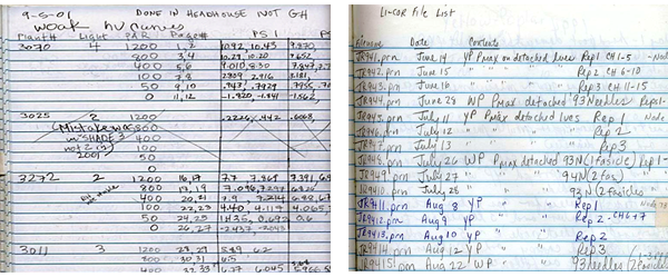 A data table and notes for computer files written on two pages within a notebook
