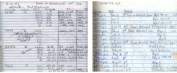 How to use a Carbonless Lab Notebook 