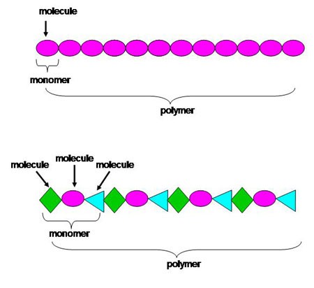 Diagram shows a polymer consists of repeating patterns of monomers