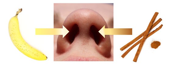 Photo of a bottom-up view of a nose next to a banana pictured on the left and cinnamon sticks pictured on the right