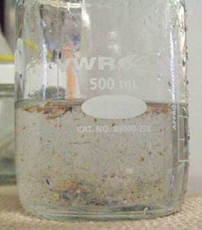 A beaker filled with water contaminated with plastic bits