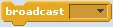 Screenshot of a broadcast block in the program Scratch