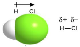 A space-filling model of a polar hydrogen chloride (HCl) molecule. The valence electron of hydrogen shifts towards chlorine, creating a larger electron cloud around the chlorine atom. An arrow points to the right to depict the dipole moment vector. To the right of the model, the partial charges are shown: + above H, - above Cl.