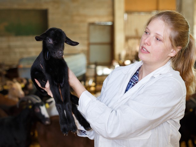 woman in a barn holding a baby goat