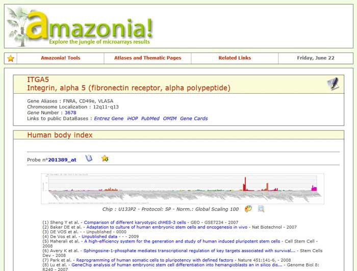 Screenshot of a search result for the integrin subunit ITGA5 on the website Amazonia!