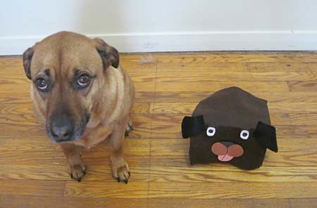 A dog sits next to a LEGO NXT robot dog