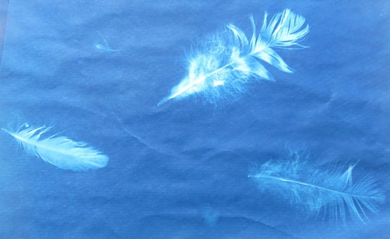 Detailed outline of three white feathers on a blue background