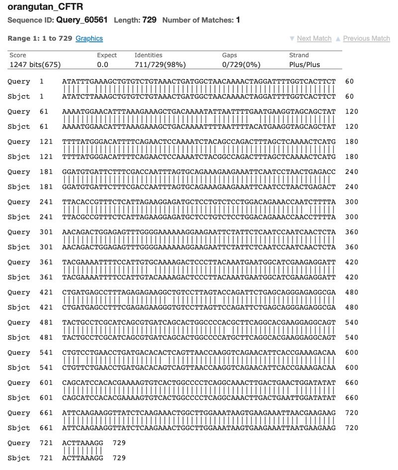 Screenshot of the results page of the 'Alignment' tab in the BLAST tool on the ncbi.nlm.nih.gov website shows the detailed alignment of the query and  subject sequences. Two rows of letters on top of each other represent the two sequences. A vertical line between the two seuences show where bases/letters match. The bases/letters are not connected when there is a mismatch between the sequences.