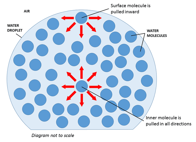 water cohesion diagram