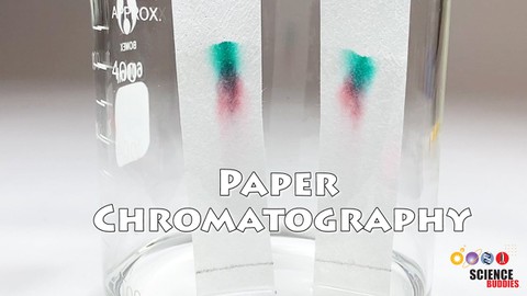 Paper Chromatography: The Art & Science of Color