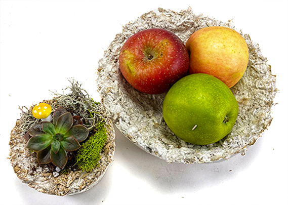 Bowls and planters made from mycelium mushroom roots