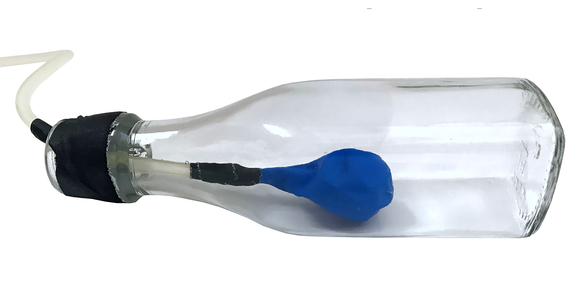 Model swim bladder for a fish made from a bottle, a hose, and a balloon