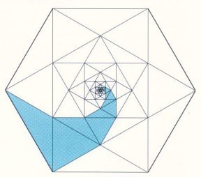 A single blue spidron arm outlined in a hexagon