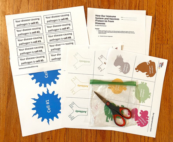 Materials needed for the ' Immune System and Vaccines Protect Us From Diseases' lesson plan.