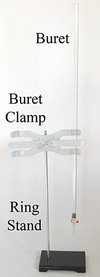 A clamp holds a buret on a ring stand