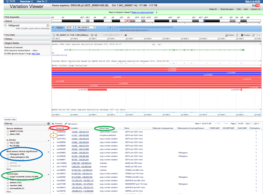 Screenshot of an allele chart for a gene shown in the variation viewer on the ncbi.nlm.nih.gov website