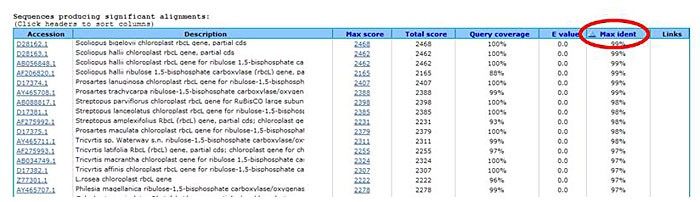 Screenshot from a BLAST search generate a result list of matching accessions