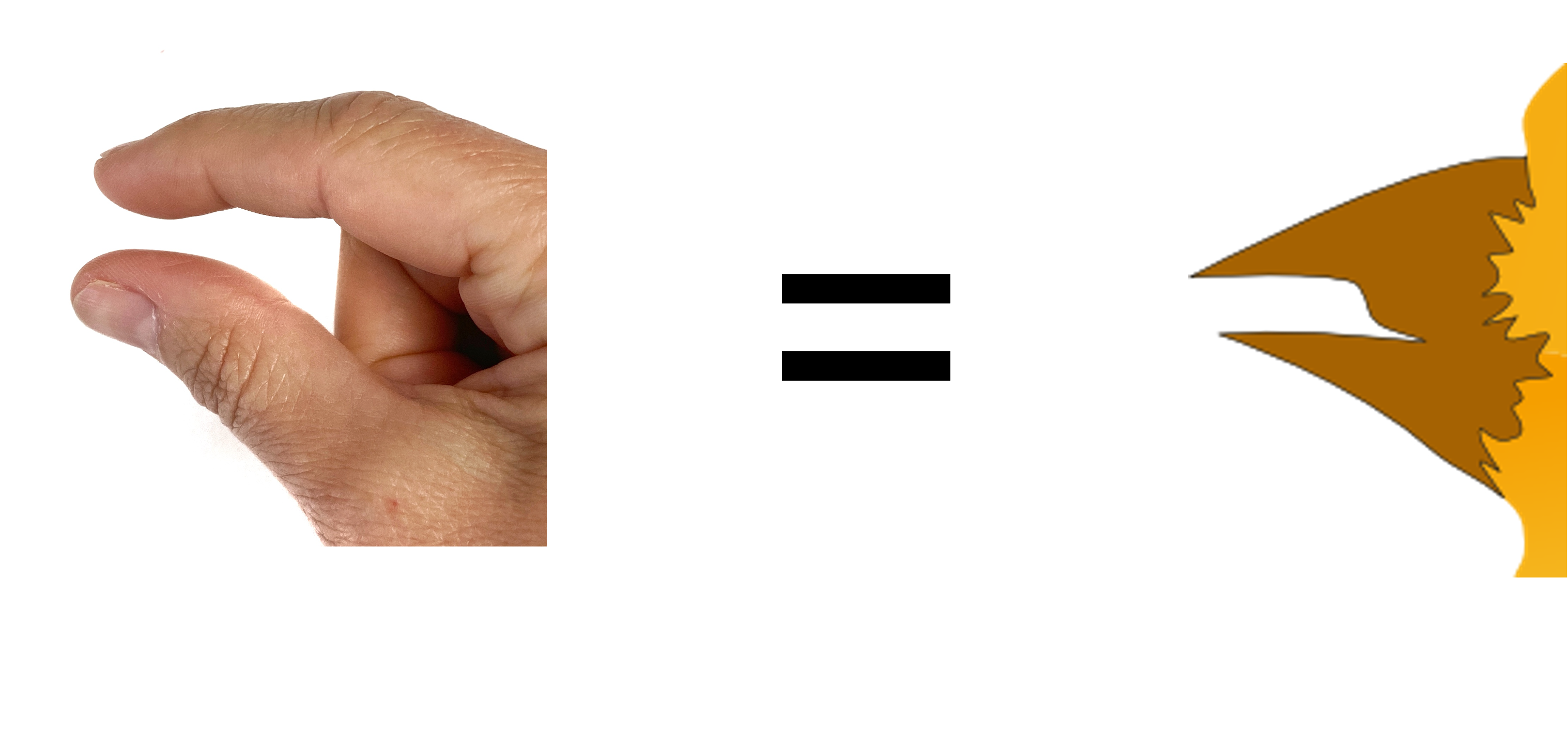 Pointer finger and thumb in a pincer grip representing a beak. Right: Drawing of a bird's beak shows a similar shape.