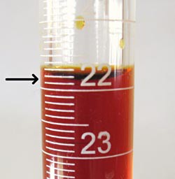 The meniscus is measured in a red solution contained within a graduated cylinder